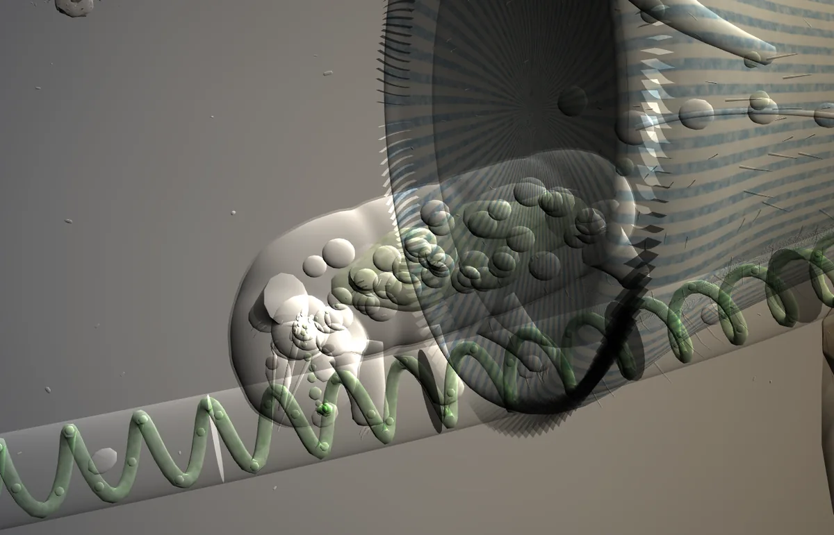 A tardigrade climbing over a spiral algal filament, seen in the 3D specimen view.